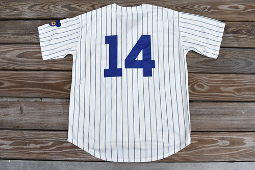 New ernie banks - new,