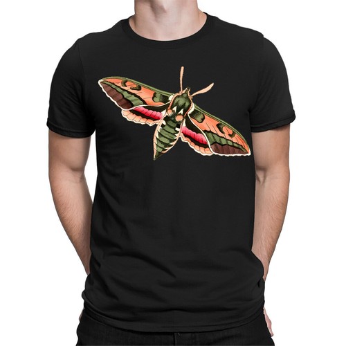 Vintage moths butterfly insect - moths,